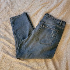 ELOQUII JEANS sz 16